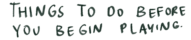 Before you start playing